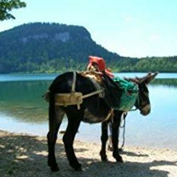 Rando Âne Jura - NANCHEZ