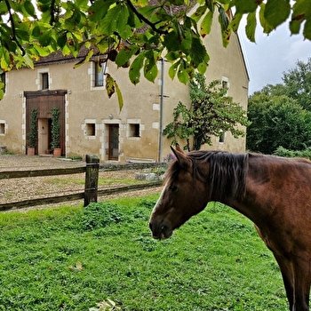 Terre de Fleur - BITRY