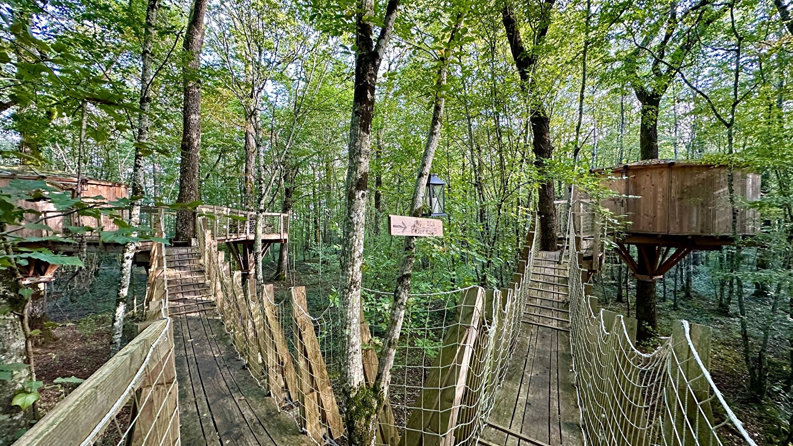 Nids d'Aurore et des PiousPious