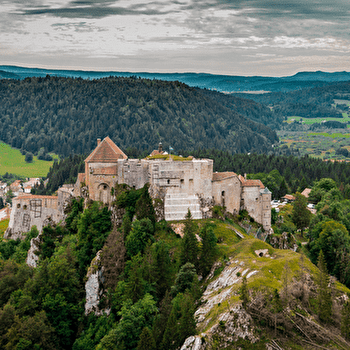 Le Fort de Joux - n° 80 - PONTARLIER