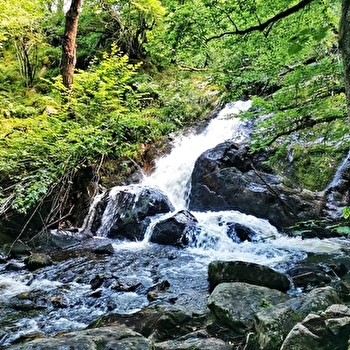 Les Gorges de La Canche - ROUSSILLON-EN-MORVAN