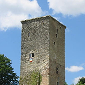 Donjon, tour de l'ancien château - BEAUJEU-SAINT-VALLIER-PIERREJUX-ET-QUITTEUR