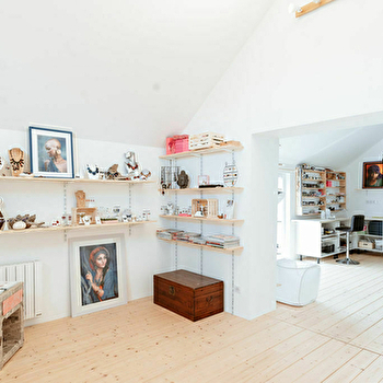 La Fée Caméléon - TRAITIEFONTAINE