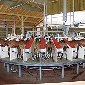 Ferme du Rondeau - LAVANS-VUILLAFANS