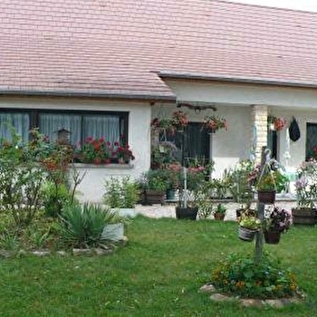 Les Althéas - CHAPELLE-VOLAND