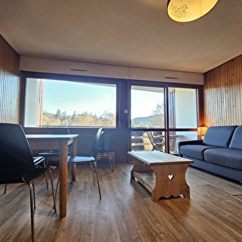 Le Lacuzon - Studio en résidence - R451HEB00 - LES ROUSSES