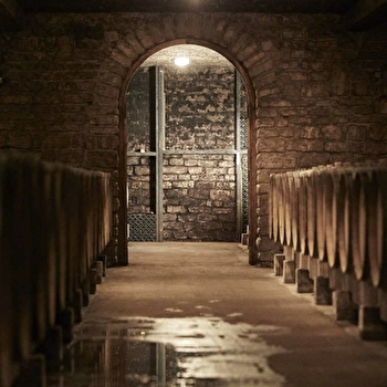 Les Parcellaires de Saulx - MEURSAULT