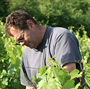 Domaine du Clos Gandin - PLOTTES