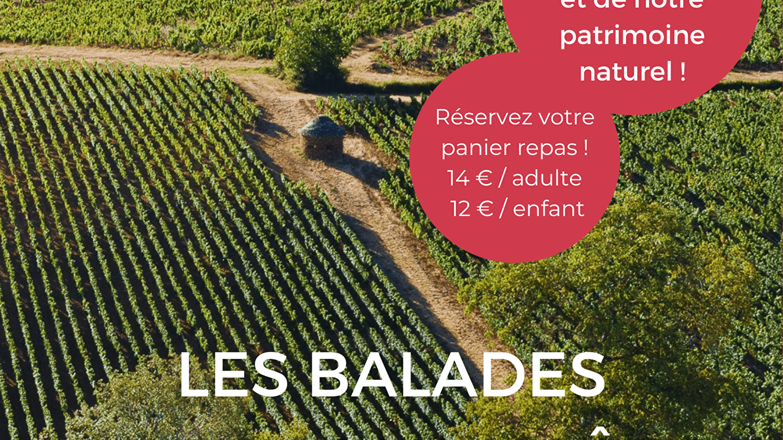 Les balades viticoles en Côte Chalonnaise