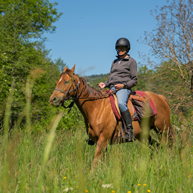 Poney-Club de Verrière
