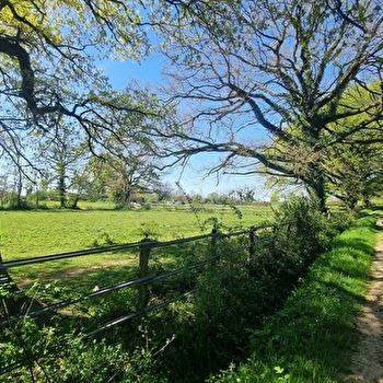 Liaison VTT-VTC (L4) St Trivier de Courtes - Ferme de la Forêt - SAINT-TRIVIER-DE-COURTES