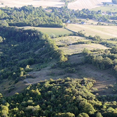 Balade en famille : le sentier-nature du Coteau du Chaumois