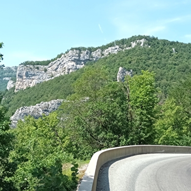 Aiguillons de Brasse