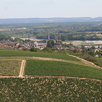 Vignoble de Pouilly-Fumé et Pouilly-sur-Loire - POUILLY-SUR-LOIRE
