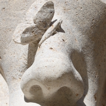 Activités Familles - Les cinq sens - CHALON-SUR-SAONE