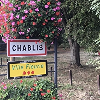Chablis - Les Forêts - CHABLIS
