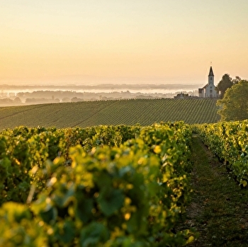 La Maison ... Cave de Viré - VIRE