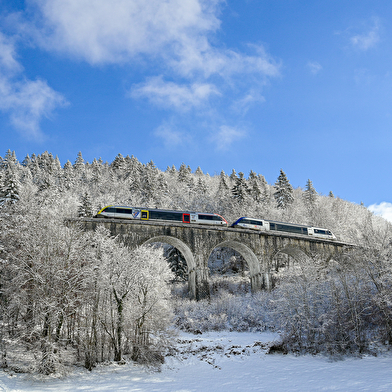 Excursion Ligne des Hirondelles - Formule À l'assaut des viaducs  ! 