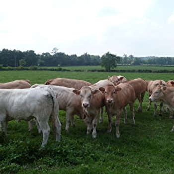 GAEC Alexandre - REMILLY