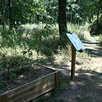 Sentier sensoriel de l'île de Caqueret - DECIZE (58300)