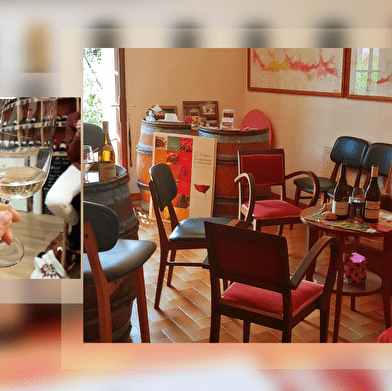 Cours de dégustation et d'oenologie en Côte de Nuits