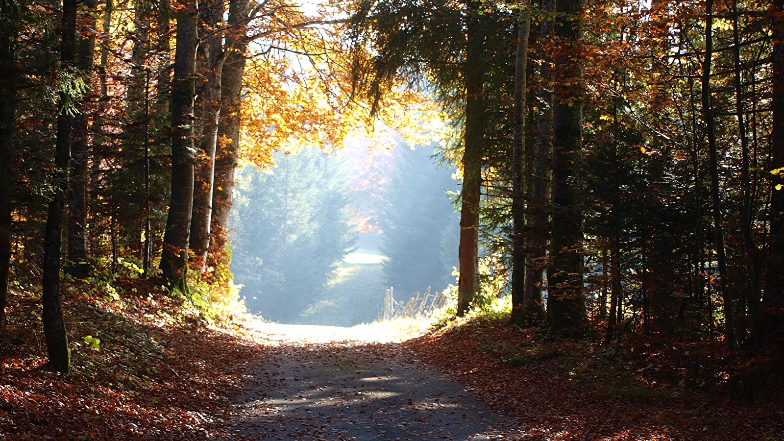 Tour de la Combe David - 68R