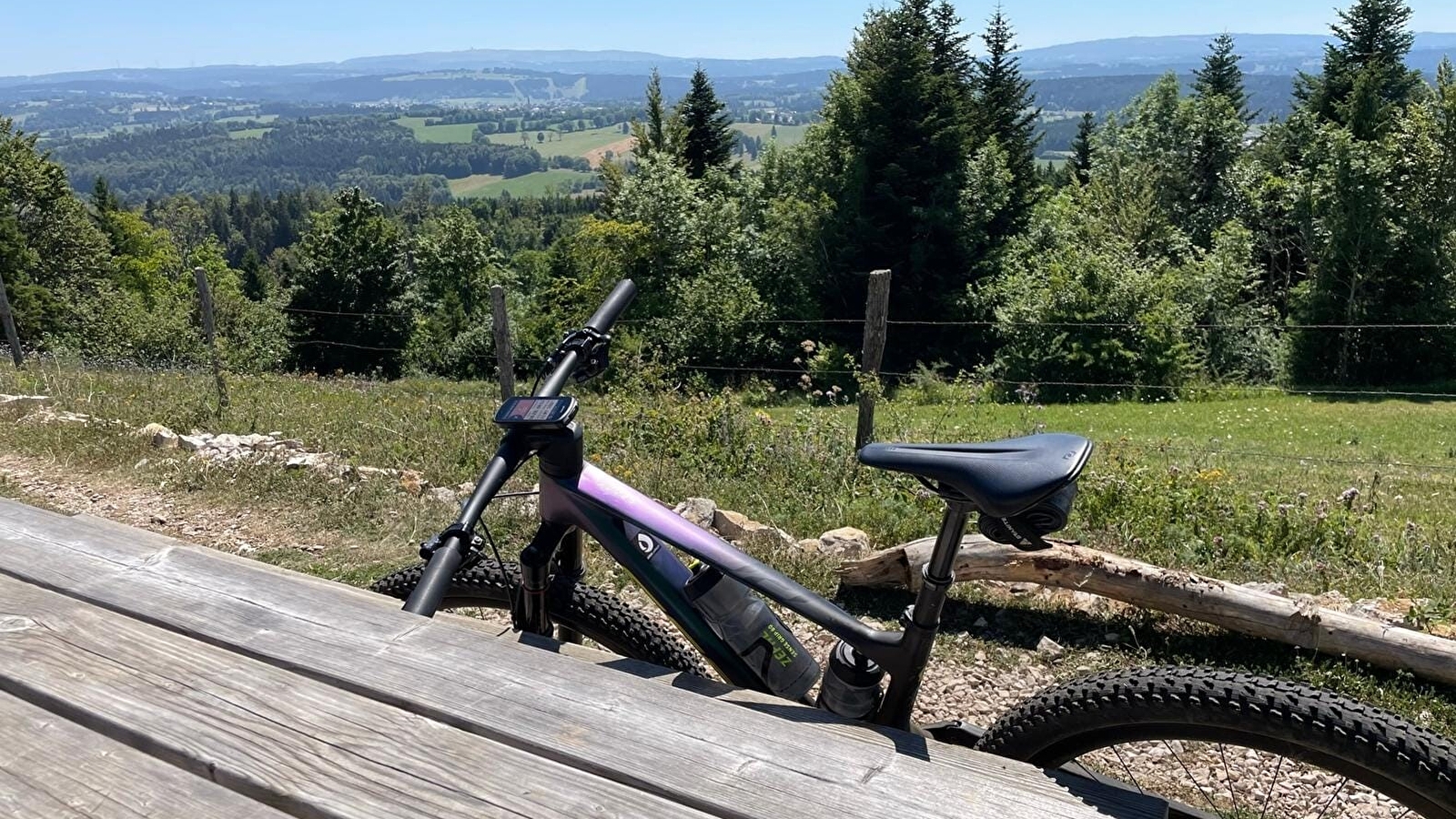 Le Faux Verger - n°19