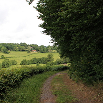 Les hauts du Brionnais - SEMUR-EN-BRIONNAIS
