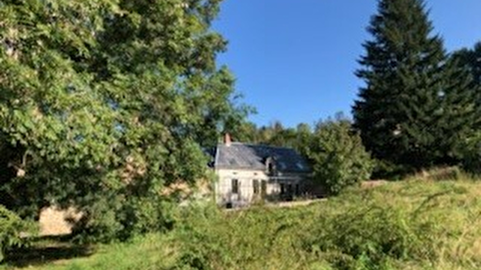 Les Gites du Renard Souriant - Le logement de renard