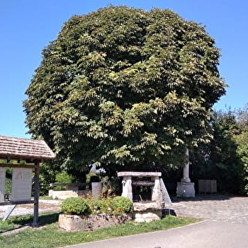 Aire de pique-nique - GRANGES