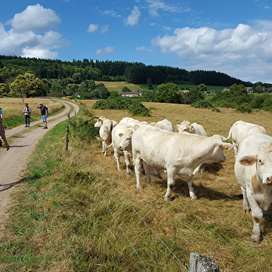 Les Gorges de La Canche