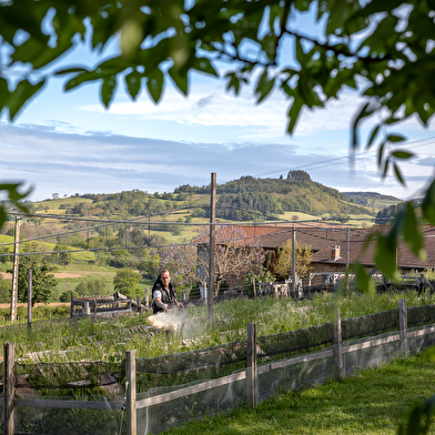 Les Coulisses du Terroir - Grosnescargot
