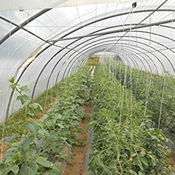 Ferme sous la côte - FONTAINE-LES-CLERVAL