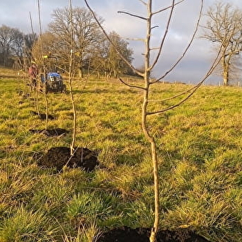Les Jardins de Falune - FLETY
