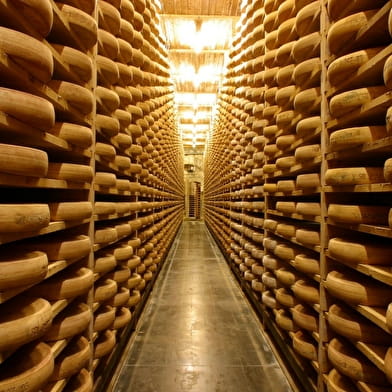 Le trappeur - séjour neige