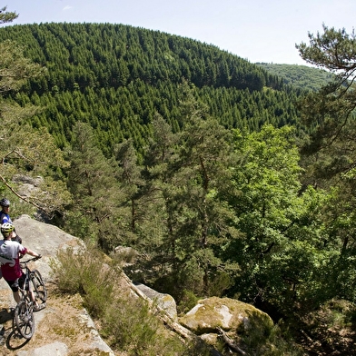 La GTMC, entre Avallon et Autun
