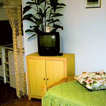 Muriel Herbin Danna - LUXEUIL-LES-BAINS