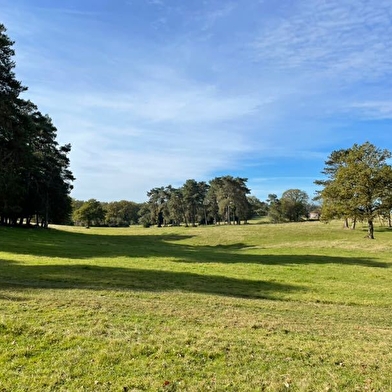 L'ancien Chêne Président