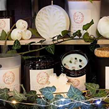 Les Lumières Du Druide - MONTFERRAND-LE-CHATEAU