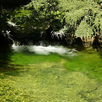 Balade : de la grande source aux sources - DIVONNE-LES-BAINS