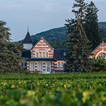 Domaine Henri de Villamont - SAVIGNY-LES-BEAUNE