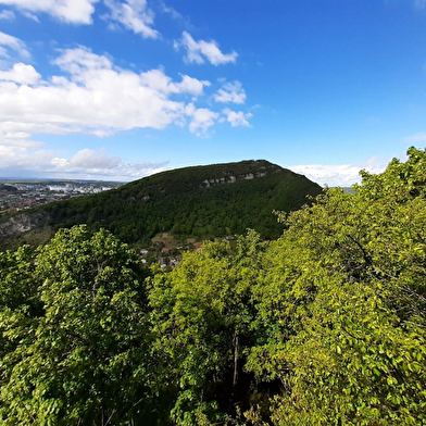 Découverte de Larnod