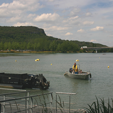 Circuit vélo : Cascades et pommiers