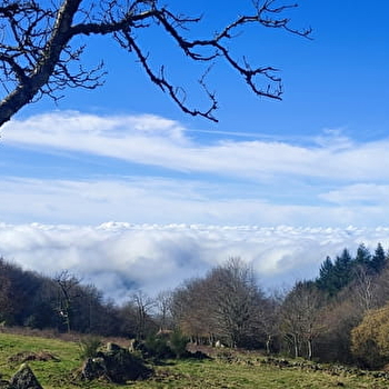 Gîte d'étape de la Pierre qui Croule  - LA TAGNIERE