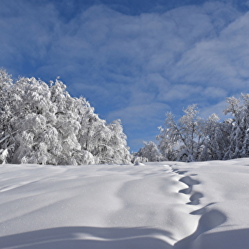 Itinéraire Raquettes du Plateau de Retord R10 au départ de la Chapelle - HAUT VALROMEY