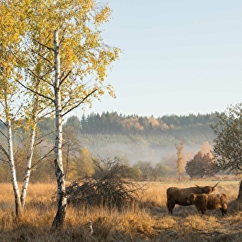 Sentier des prairies de Montour  - BRASSY
