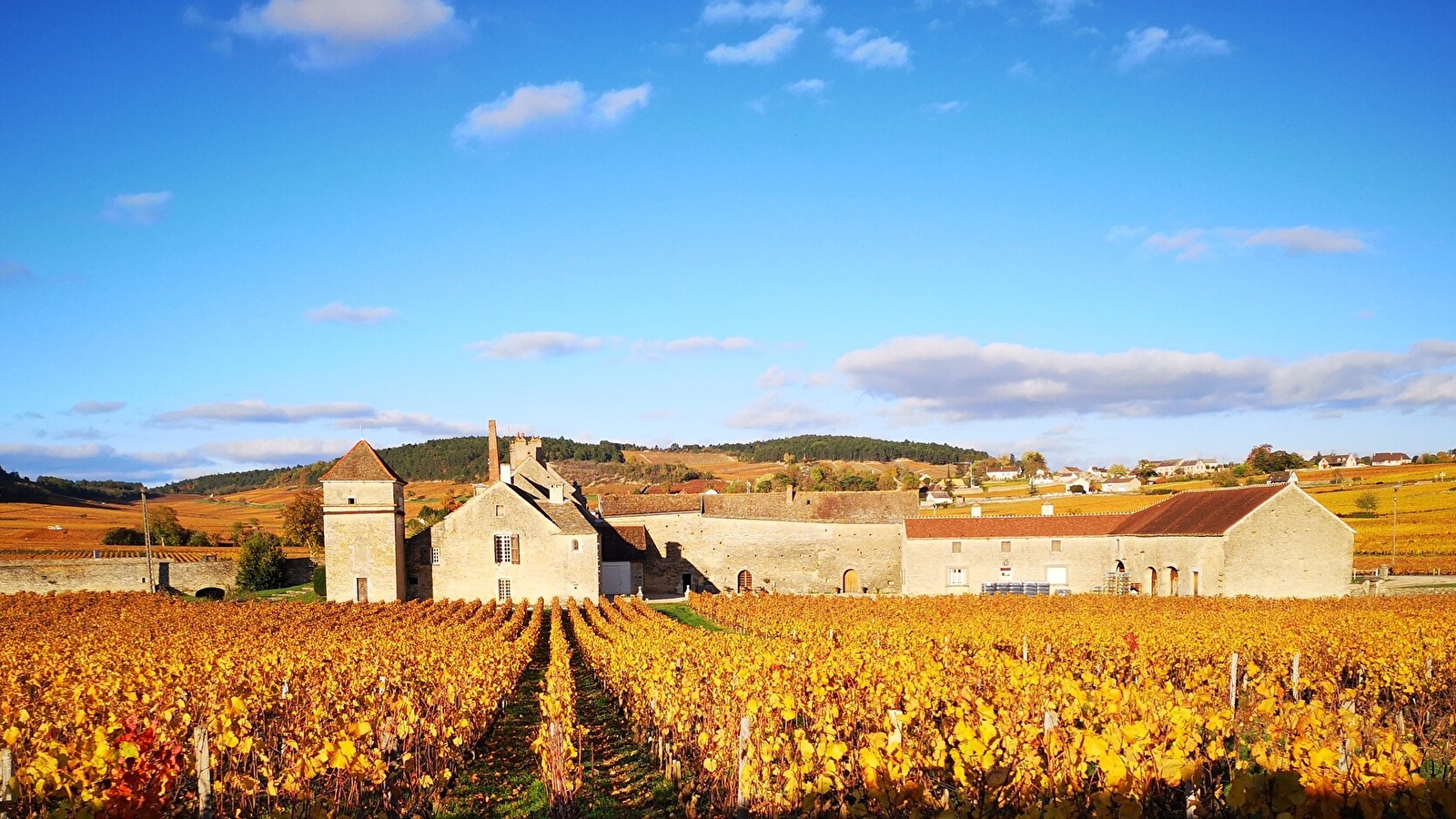 Portes ouvertes au Domaine Clos du Moulin aux Moines
