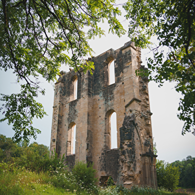 Vestiges de l'Abbaye de Cherlieu