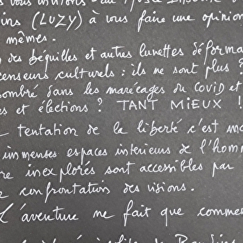 Musée insolite - LUZY