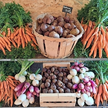 Les jardins de Linette - OISELAY-ET-GRACHAUX